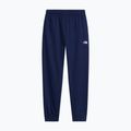 Мъжки панталони за бягане The North Face Evolution Simple Dome Regular Joggers summit navy 4