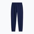 Мъжки панталони за бягане The North Face Evolution Simple Dome Regular Joggers summit navy 5