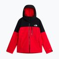 Мъжко скиорско яке The North Face Freedom Insulated elevation red/tnf black 5