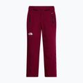 Дамски скиорски панталони The North Face Lenado burgundy crush