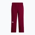 Дамски скиорски панталони The North Face Lenado burgundy crush 2