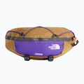 Чантичка за кръстна The North Face Terra Lumbar 3 utility brown/pak purple