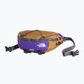 Чантичка за кръстна The North Face Terra Lumbar 3 utility brown/pak purple 2