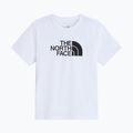 Детска тениска The North Face Evolution Half Dome SS Tee tnf white 4