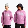 Детски суитшърт The Noryh Face Essential Drew Peak Hoodie hushed lavender 3