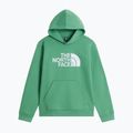 Детски суитшърт The Noryh Face Essential Drew Peak Hoodie dimmed algae