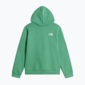 Детски суитшърт The Noryh Face Essential Drew Peak Hoodie dimmed algae 2