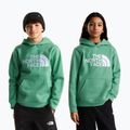Детски суитшърт The Noryh Face Essential Drew Peak Hoodie dimmed algae 3