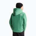 Детски суитшърт The Noryh Face Essential Drew Peak Hoodie dimmed algae 5
