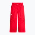 Детски скиорски панталони The North Face Freedom Insulated elevation red 4