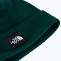 Зимна шапка The North Face Dock Worker Recycled Beanie hunter green 2