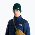 Зимна шапка The North Face Dock Worker Recycled Beanie hunter green 3