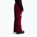 Детски скиорски панталони The North Face Freedom Insulated burgundy crush 3