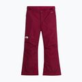 Детски скиорски панталони The North Face Freedom Insulated burgundy crush 4