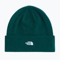 Зимна шапка The North Face Norm Beanie hunter green