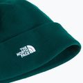 Зимна шапка The North Face Norm Beanie hunter green 2