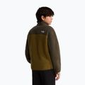 Детски поларен суитшърт The North Face Yumiori 1/4 Zip caraway seed/ne 5