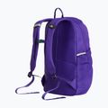 Градска раница The North Face Court Jester elevation purple 3