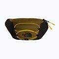 Чантичка за кръстна The North Face Jester Lumbar 2,2 l caraway seed/tnf black