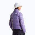 Дамско пухено яке The North Face Hydrenalite Down grounded plum 3