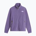 Мъжки поларен суитшърт The North Face Glacier Fleece grounded plum 5