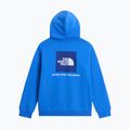 Детски суитшърт The North Face Evolution Box NSE Pullover Hoodies active blue 2