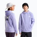 Детски суитшърт The North Face Evolution Box NSE Pullover Hoodies pale plum