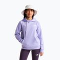 Детски суитшърт The North Face Evolution Box NSE Pullover Hoodies pale plum 2