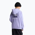 Детски суитшърт The North Face Evolution Box NSE Pullover Hoodies pale plum 5