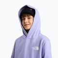 Детски суитшърт The North Face Evolution Box NSE Pullover Hoodies pale plum 6