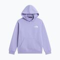 Детски суитшърт The North Face Evolution Box NSE Pullover Hoodies pale plum 7