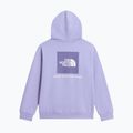 Детски суитшърт The North Face Evolution Box NSE Pullover Hoodies pale plum 8