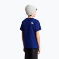 Детска тениска The North Face Evolution Half Dome SS Tee bold blue 5