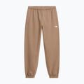 Дамски панталони The North Face Evolution Simple Dome Regular garnet 4