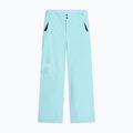 Дамски скиорски панталони The North Face Descendit Regular glacier
