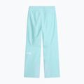 Дамски скиорски панталони The North Face Descendit Regular glacier 2