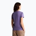 Дамска тениска The North Face Evolution Simple Dome Slim SS grounded plum 3
