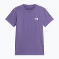 Дамска тениска The North Face Evolution Simple Dome Slim SS grounded plum 4