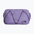 Чантичка за кръстна The North Face Terra Lumbar 1 l grounded plum/endless