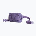 Чантичка за кръстна The North Face Terra Lumbar 1 l grounded plum/endless 2