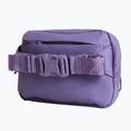 Чантичка за кръстна The North Face Terra Lumbar 1 l grounded plum/endless 3