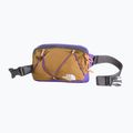 Чантичка за кръстна The North Face Terra Lumbar 1 l utility brown/peak purple