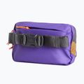 Чантичка за кръстна The North Face Terra Lumbar 1 l utility brown/peak purple 3