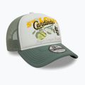 New Era Плодове Graphics Trucker бейзболна шапка ST. Сейнт Луис Кардиналс зелена пастелна