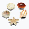 Crocs Jibbitz™ She Sells Seashells pin 5 бр.