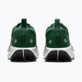 Мъжки обувки за бягане Nike Pegasus Trail 5 GORE-TEX fir/bright crimson/clay green 6