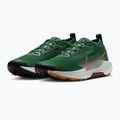 Мъжки обувки за бягане Nike Pegasus Trail 5 GORE-TEX fir/bright crimson/clay green 7