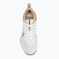 Мъжки обувки за тренировка Nike Air Max Alpha Trainer 6 sail/baroque brown/hemp/desert dust 5