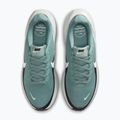 Мъжки обувки за бягане Nike Revolution 8 cannon/seaweed/pure platinum/white 12