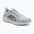 Мъжки обувки за бягане Nike Pegasus 41 GTX light pumice/pure platinum/silt red/metal silver